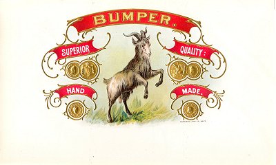 Bumper