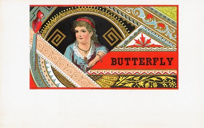 Butterfly