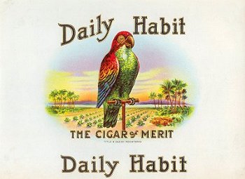 Daily Habit