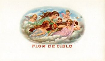 flor de cielo
