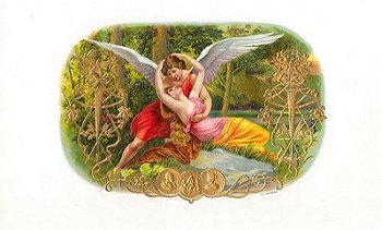 FDelAmor