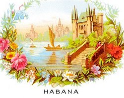Habana close up