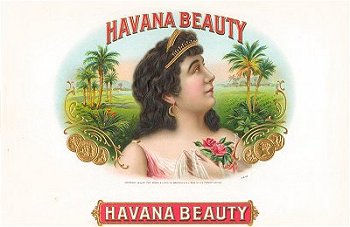 HavanaBeauty