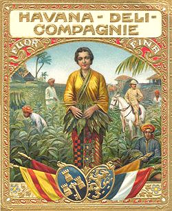 tobacco cigar box label
