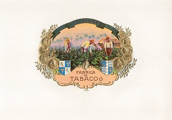 LFDCocosa_ts