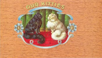 OurKitties