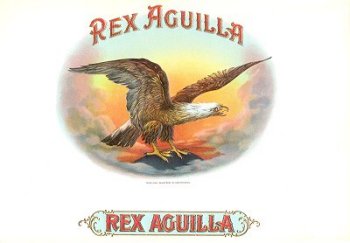 RexAguilla