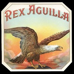 RexAguilla outer