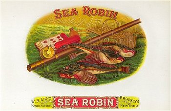 Sea Robin