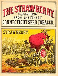strawberry cigar box label