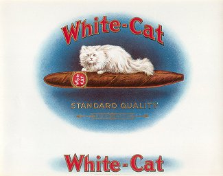 White Cat