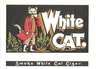 WhiteCat_red